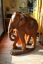 Coppia di elefanti africani in legno