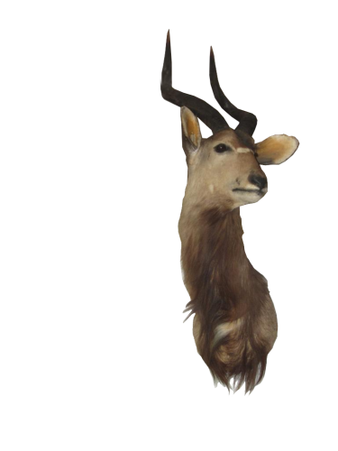 4511 4512 (Custom).jpg_product