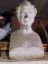 Busto maschile in gesso
