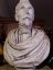 Busto in gesso maschile